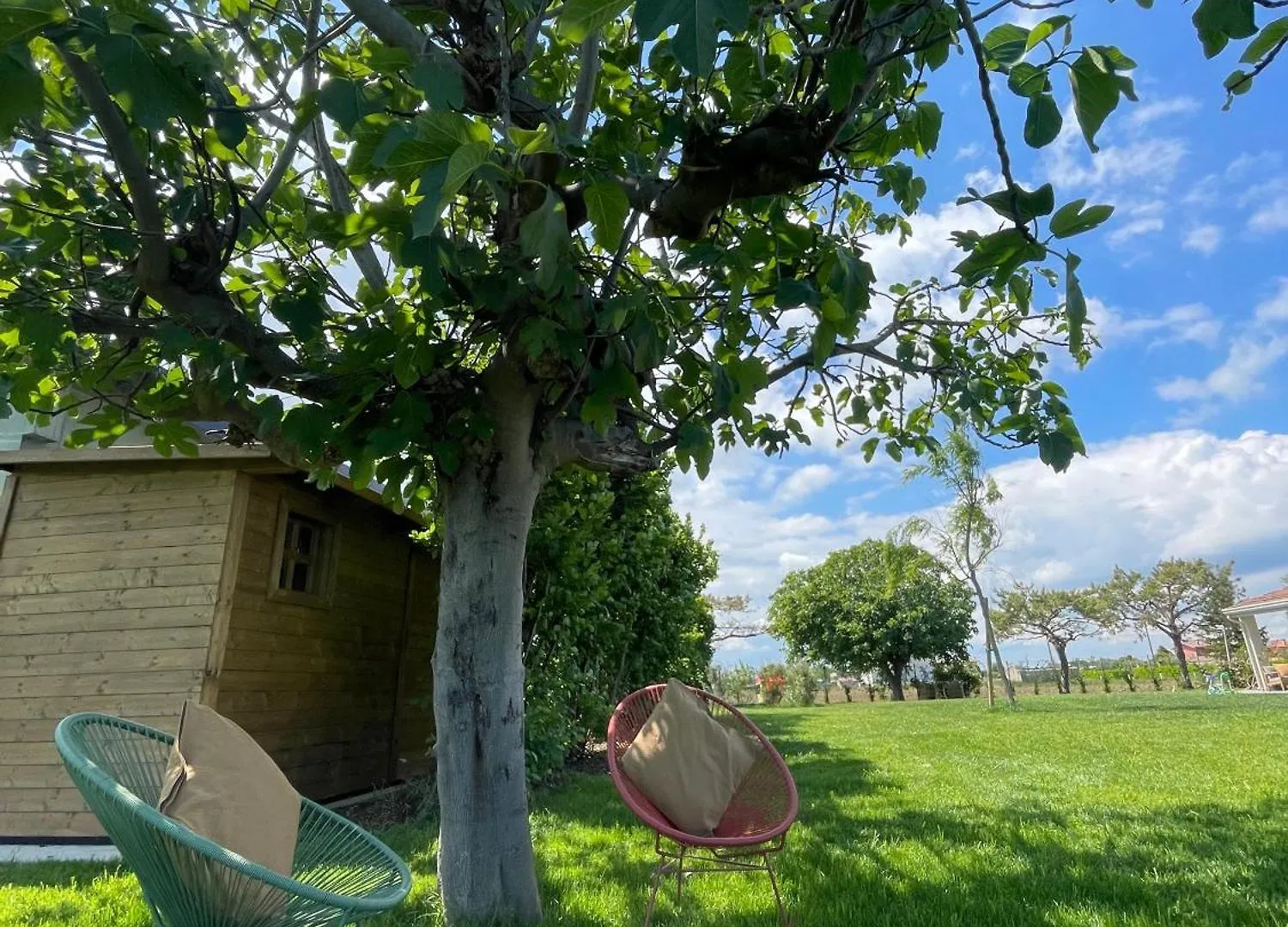 Bed & Breakfast Bed and Breakfast El Patio San Vito