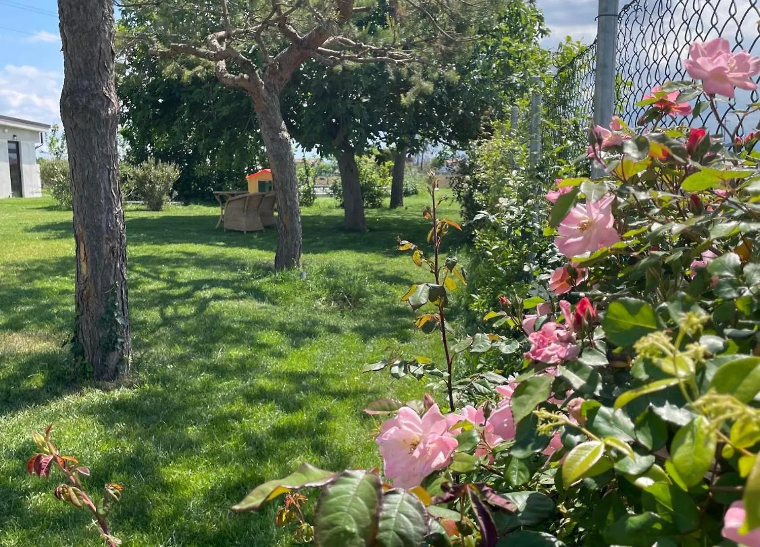 Bed and Breakfast El Patio San Vito  Bed & Breakfast
